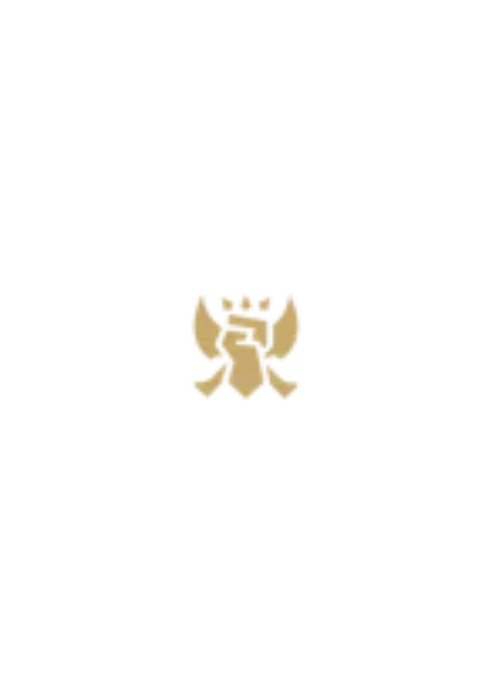 Fighter
